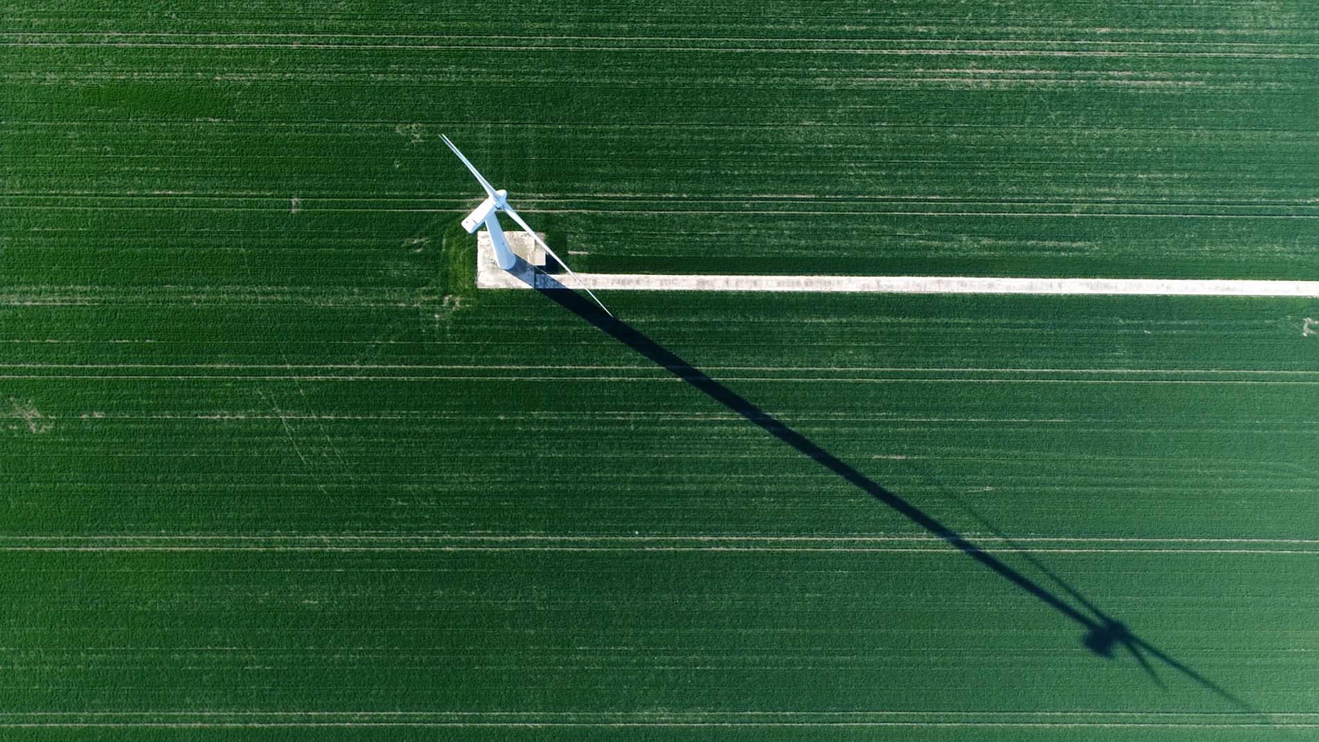Windturbine in veld