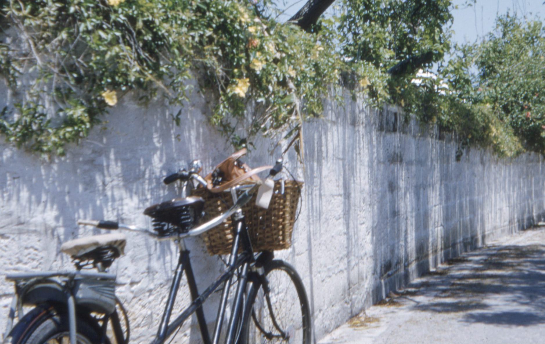 zero emission transport Rebelgroup